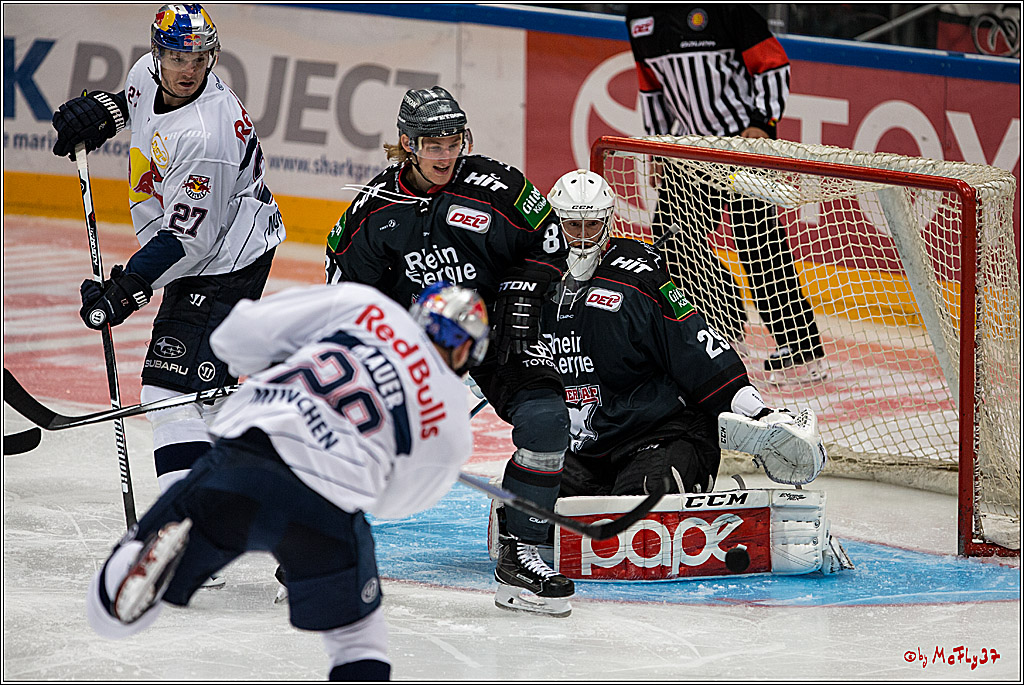 Koelner Haie - EHC Red Bull Muenchen , 16.09.16(KW37)